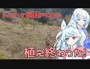 2024年3月14日　農作業日誌P934　みかんの苗木の植え付け完了です！