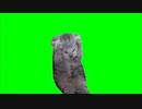 ｇｍ置き場Part2