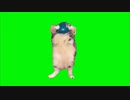 neiさー