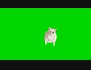 ゴミ捨て場PART8