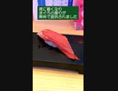 【仙台のランチ】廻鮮寿司塩釜港の穴子丼をいただきました