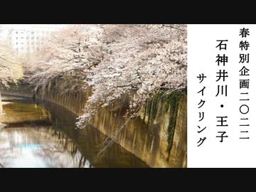 【サイクリング】桜の季節ということで、石神井川沿い（板橋本町周辺～王子）をサイクリングしてきました