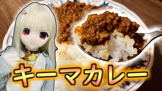 【ラブドールとお料理】平日のシンパパでも作れる「本格キーマカレー」【ゆっくり解説・VOICEVOX解説】