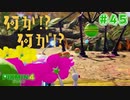 【実況】はじめてのピクミン Part45【ピクミン4】