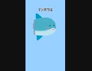【雑学】「マンボウなんですぐ〇んでしまうん？」
