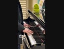 linkin park one more light cover in Takamatsu Kagawa Japan