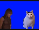 ｵﾏﾈｺｶﾞｻｷｲｯﾃﾄﾞｳｽﾝﾀﾞﾖｵﾚｶﾞｾﾞﾝｾﾞﾝｷﾓﾁﾖｸﾈｪｼﾞｬﾝﾖBB