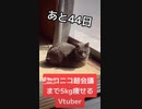 ニコニコ超会議までに5kg痩せるVtuber【あと44日】