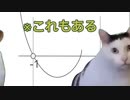 【高校数学】放物線とHAPPYCAT【猫ミーム】