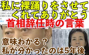 鳩山元首相の2010年辞任時の言葉『私に裸踊りをさせてくれてありがとう』の本当の意味と、日米合同委員会の存在を世間に知らしめた、すばらしい功績。