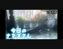 赤ちゃんなまず飼育日記 276日目