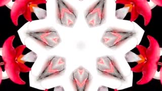 桑田佳祐の白い恋人達の音域はmid1D〜mid2G フェイクでHif＃