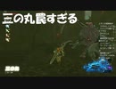 #131【ゼルダの伝説 ブレス オブ ザ ワイルド】三の丸へ行く人要注意です！