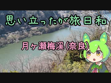 思い立ったが旅日和【月ヶ瀬梅溪(奈良)】