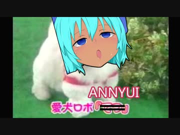 雌犬ロボ「ＡＮＮＹＵＩ」
