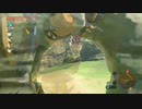 ゼルダの伝説　ブレス オブ ザ ワイルド　実況プレイPart219