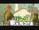 【ゼルダの伝説 BotW】#22　リンク・・・家を見つけてる。正直棲みたい！