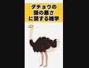 【噓でしょ？】ダチョウの頭の悪さに関する雑学 #雑学 #ダチョウ #頭が悪い #動物