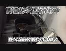 【iPhoneの素揚げ】猫ミーム動画のプチバズり記念に唐揚げ大会がしたかっただけなのに