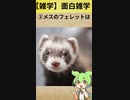 【雑学】面白い雑学244