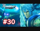 【実況】ゼノブレイドDE #30