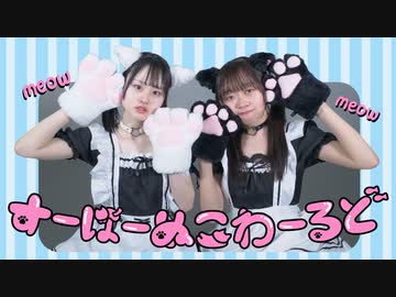 【とげふわ】すーぱーぬこわーるど 踊ってみた【踊コレ2024春】