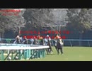 UMAJO？競馬予想「2024阪神大賞典編」