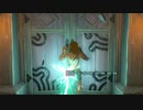 【ティアキン】依頼を受けて、扉の開閉を杭で邪魔してみた【ドリカラ】【ボイスピ実況,ゼルダの伝説,ティアーズオブザキングダム,TotK,バグ,検証 】