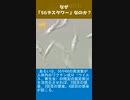 なぜ「5Gデスタワー」なのか？