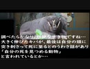 ★【にげだせ！動物の檻】ブレイク･ザ･アニマル･プリズン　実況プレイ★　part8