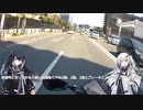 初心者ライダーに聞かれたこと「信号とかの停止ってどうするんですか？」