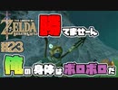 【ゼルダの伝説 BotW】#23　戦いに勝てなくて　リンクの身体はボロボロだ