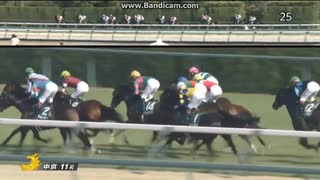 2024 中日スポーツ賞ファルコンS(GⅢ)　ダノンマッキンリー