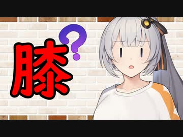 【ソフトウェアトーク劇場】カプチーノハウス・改 パート387【膝】