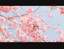 haraharari/Mai