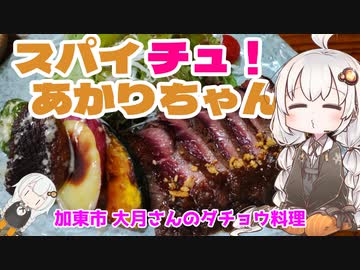 スパイ チュ！あかりちゃん ～加東市でダチョウを食べる～