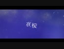 夜桜 / 初音ミク