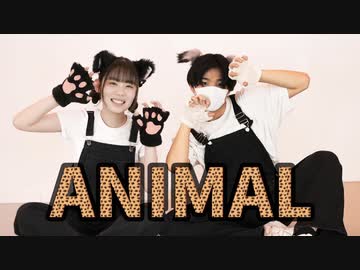 【あ9あとなすちゃん。】ANIMAる 踊ってみた【踊コレ2024春】