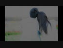 【GUMI SV】寂しそうに笑った【Megpoid楽曲コンテスト2024応募作品】