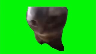 ぐーぱー３