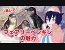 【世界ペンギンの日】激レア！フェアリーペンギンの魅力