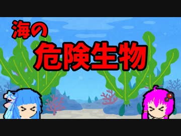 【VOICEROID解説】ゆかり先輩と見る危険生物【海編⑧】