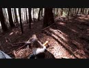 (大本営から注意喚起が来た話)変態忍者の、有害鳥獣駆除従事活動記・その２７８