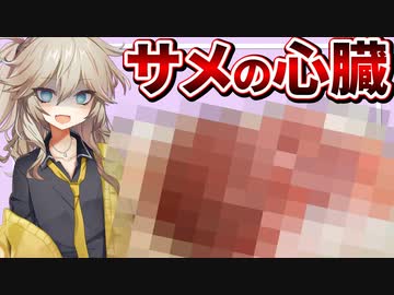【閲覧注意】"サメの心臓"を刺身で食べてみた【VOICEVOX春日部つむぎ】