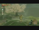 ゼルダの伝説　ブレス オブ ザ ワイルド　実況プレイPart221