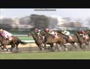 2012 日経賞 (GII)　ネコパンチ