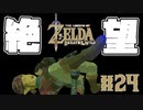 【ゼルダの伝説 BotW】#24　この試練でリンクは初めての絶望を知りました。