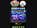 泡前兆予告から美しい魚群□