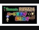 【Terraria実況】ふらふらしたら海賊にしばかれました　PART14