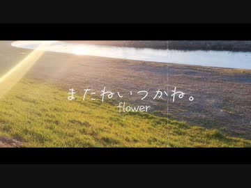 またねいつかね。/ flower